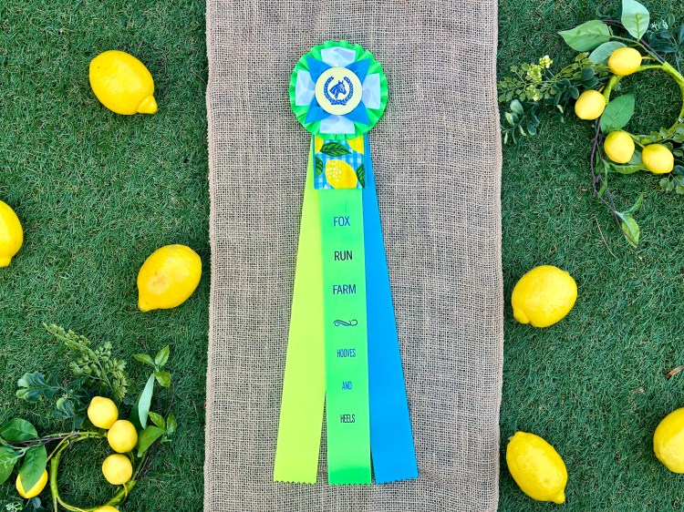 Spring 2024 Hooves and Heels Challenge ribbon